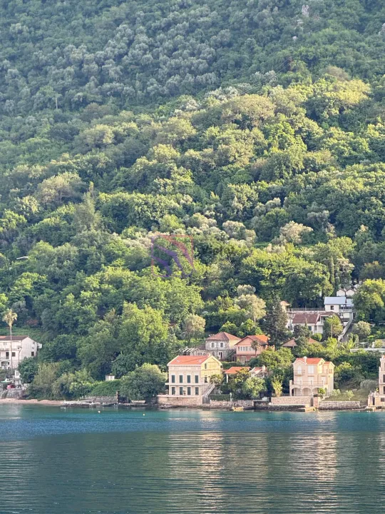 Sale, land lot, 4614m², Stoliv, Kotor