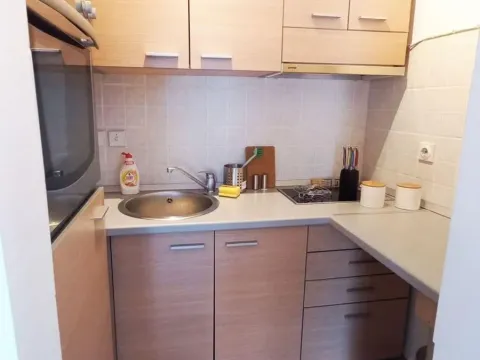 Izdavanje, dvosoban stan, 41m², Crveni Krst, Beograd - image 5