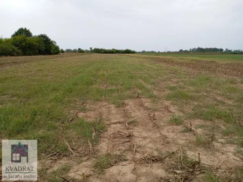 Sale, land lot, 1900m², Zvečka, Obrenovac - image 5