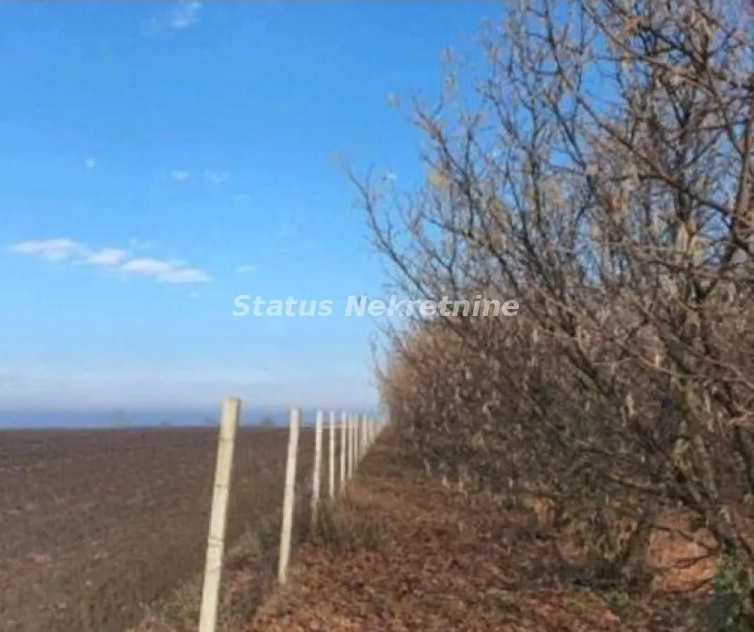 Prodaja, plac, 16304m², Bela Palanka, Srbija