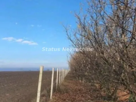 Prodaja, plac, 16304m², Bela Palanka, Srbija - image 4