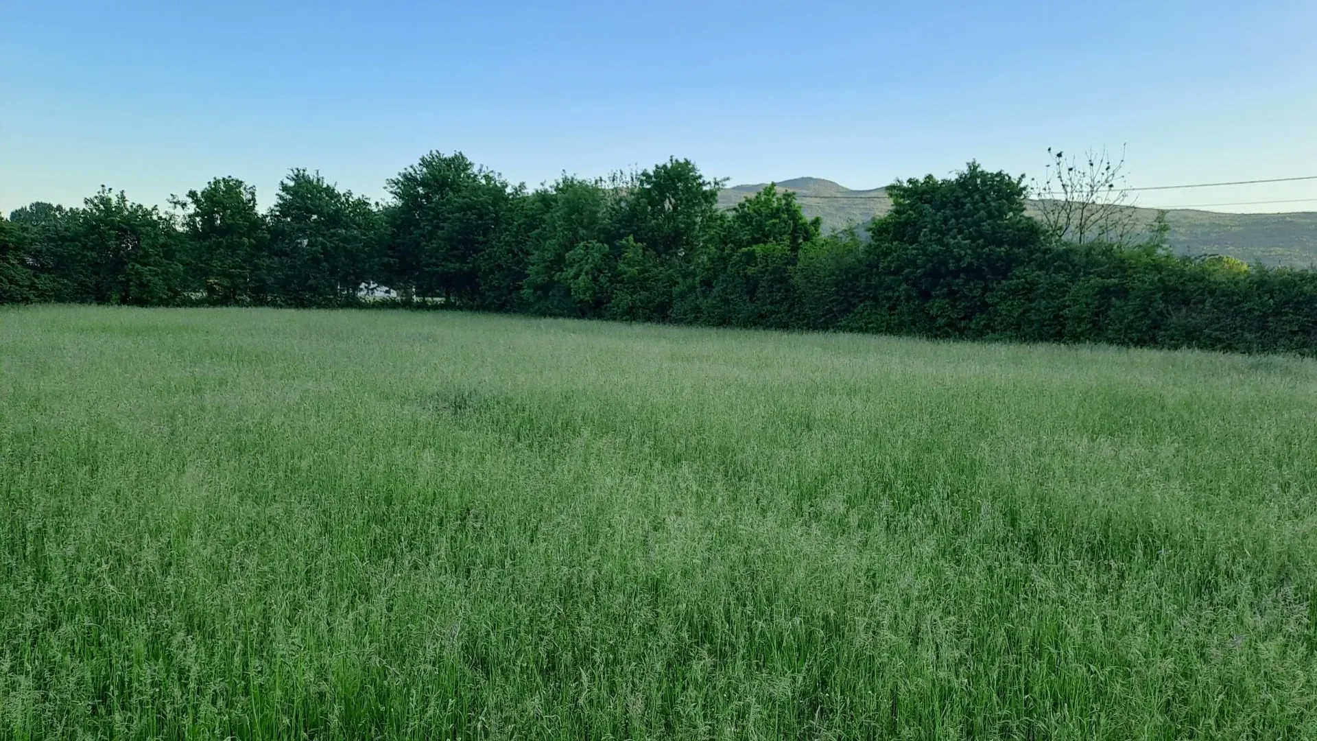 Prodaja, plac, 1000m², Danilovgrad, Crna Gora