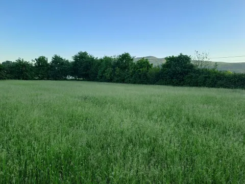 Sale, land lot, 1000m², Danilovgrad, Crna Gora - image 2