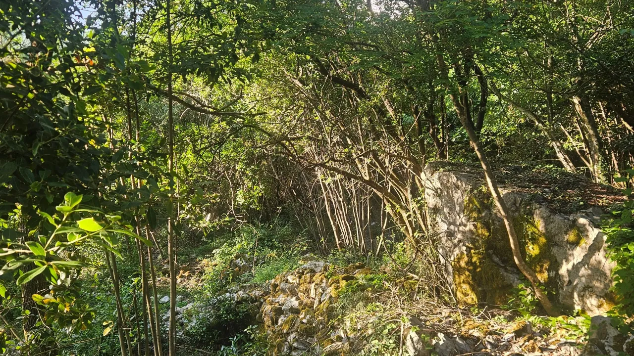 Sale, land lot, 500m², Mojdež, Herceg Novi