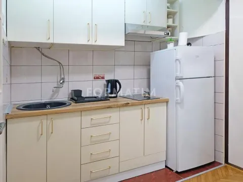 Rent, two bedroom apartment, 45m², Vračar Hram, Vračar Sve Podlokacije - image 11