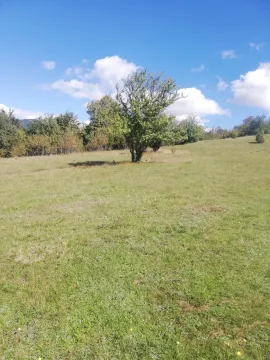 Prostrani zeleni plac pod blagim nagibom okružen drvećem pod plavim nebom. - image 8