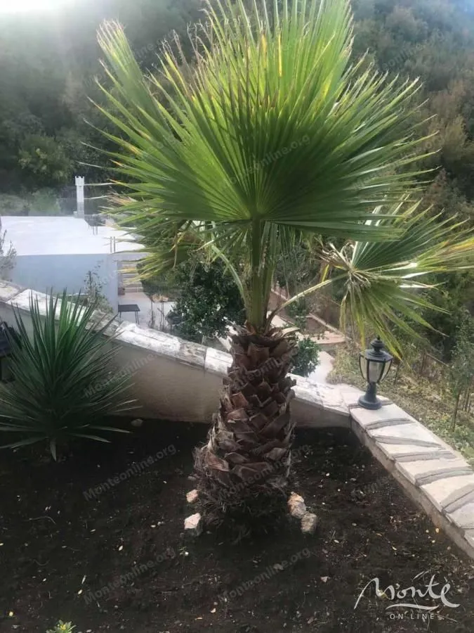 Sale, house, 200m², Bečići, Budva