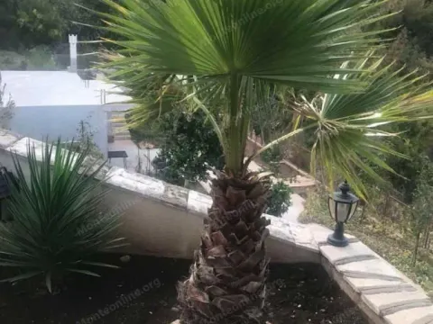 Sale, house, 200m², Bečići, Budva - image 18