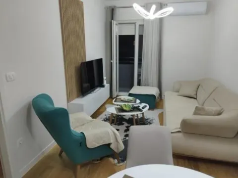 Izdavanje, jednosoban stan, 40m², Central Point, Podgorica - image 1