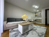 Izdavanje, jednosoban stan, 45m², Stari Aerodrom, Podgorica - image 1