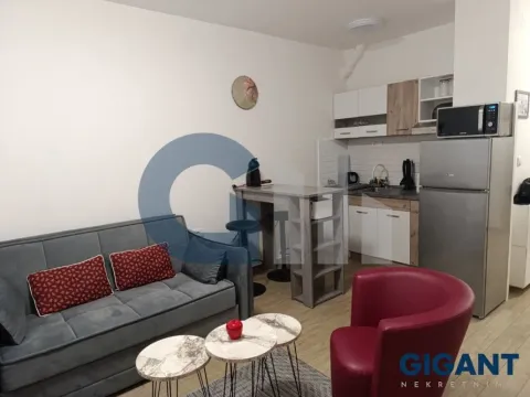 Izdavanje, jednosoban stan, 37m², Vračar, Šid - image 3