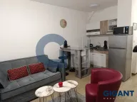 Izdavanje, jednosoban stan, 37m², Vračar, Šid - image 3