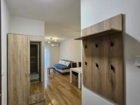 Rent, one bedroom apartment, 44m², Central Point, Podgorica - image 4