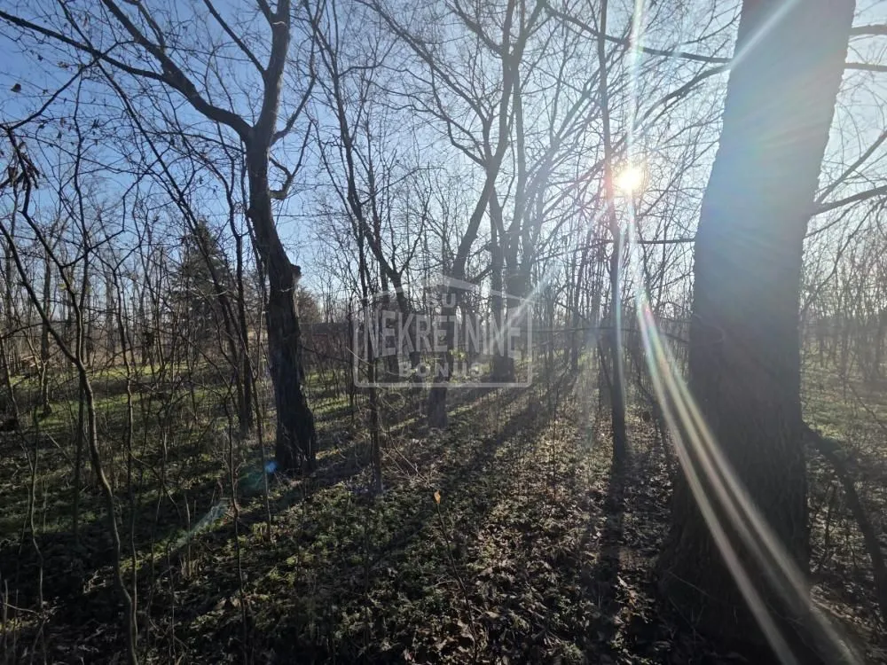 Prodaja, plac, 2676m², Veliki Radanovac, Subotica