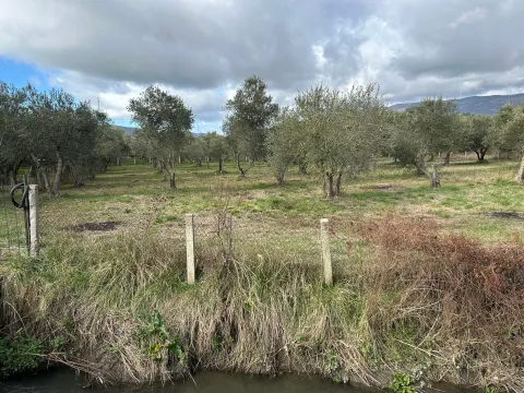 Sale, land lot, 1000m², Ulcinjsko Polje, Ulcinj - image 3