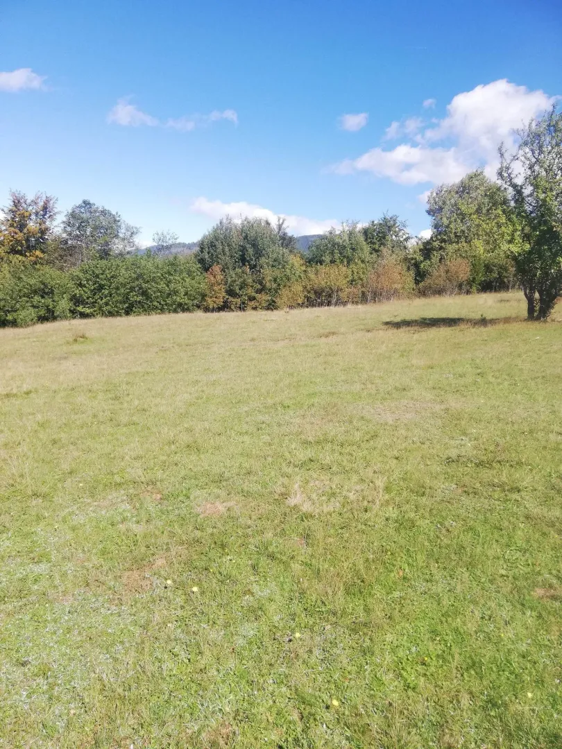 Travnati plac okružen šumom.