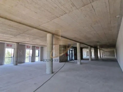 Izdavanje, poslovni prostor, 700m², Veternik, Novi Sad Sve Podlokacije - image 7