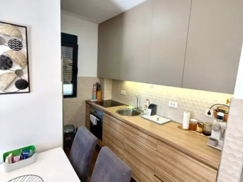 Izdavanje, jednosoban stan, 45m², Ljubović, Podgorica - image 5