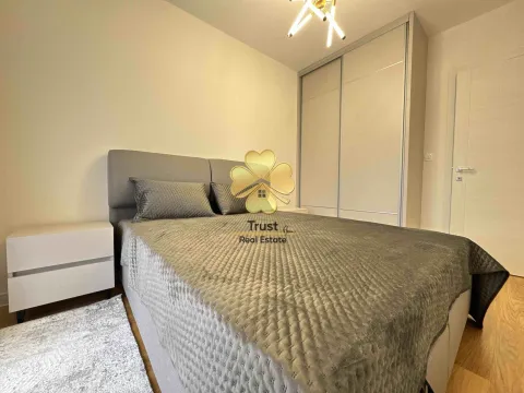 Izdavanje, jednosoban stan, 49m², Central Point, Podgorica - image 11