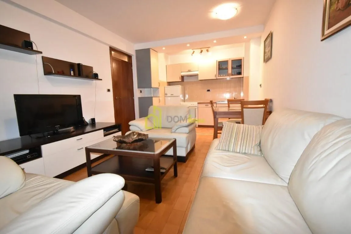 Rent, one bedroom apartment, 41m², Vezirov Most, Podgorica