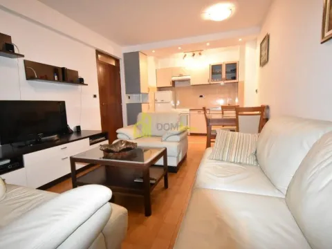 Rent, one bedroom apartment, 41m², Vezirov Most, Podgorica - image 4