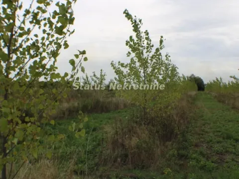 Prodaja, plac, 1378m², Zrenjanin, Srbija - image 51