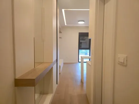 Prodaja, jednosoban stan, 37m², Zabjelo, Podgorica - image 5