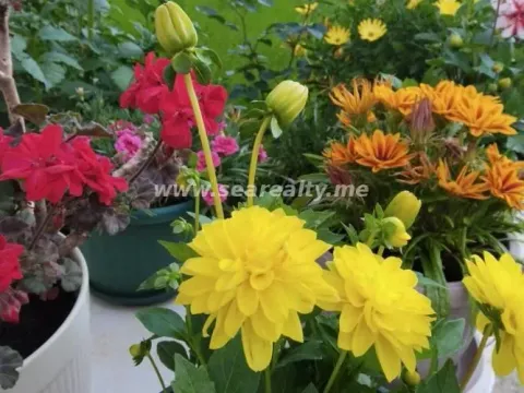 Izdavanje, jednosoban stan, 30m², Budva, Crna Gora - image 20