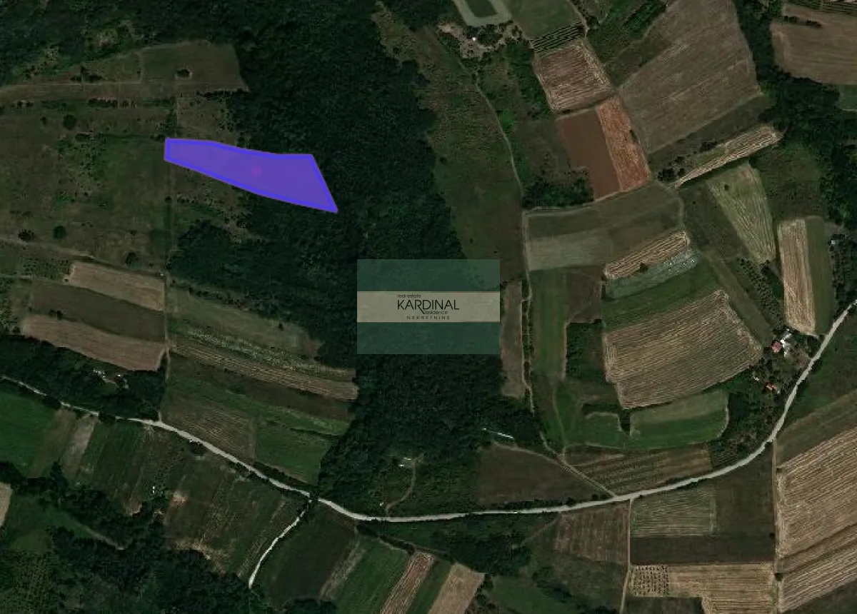 Satelitski snimak sa označenom granicom parcele.