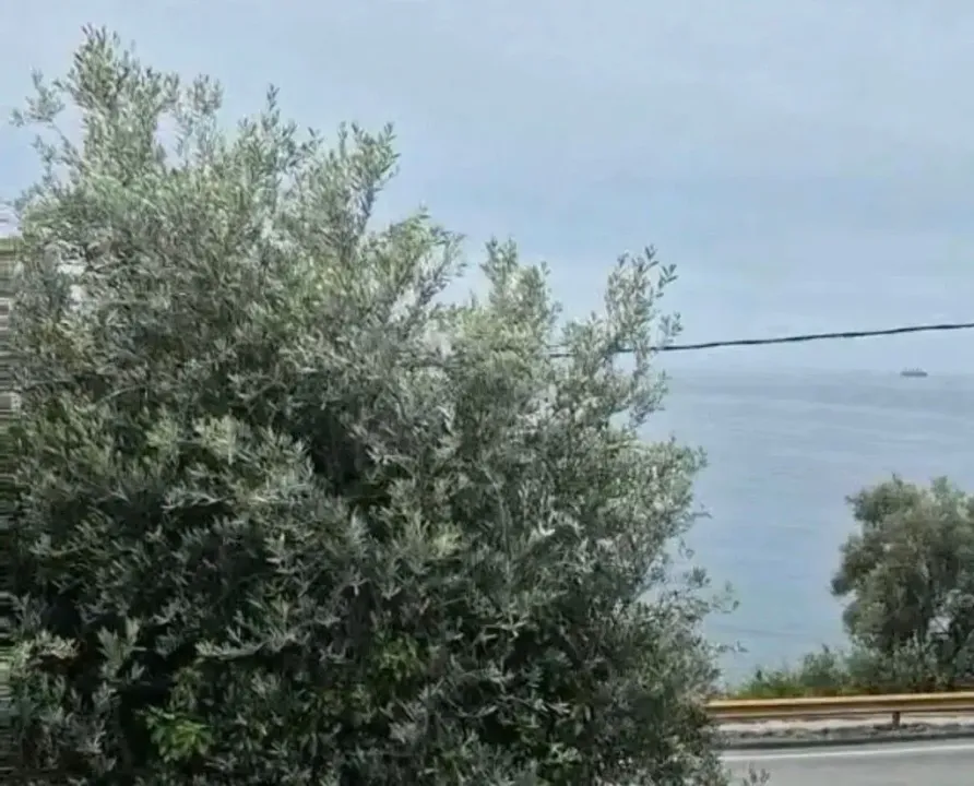 Sale, land lot, 549m², Šušanj, Bar
