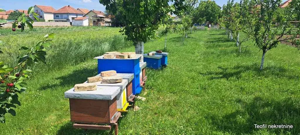 Prodaja, kuća, 233m², Nova Pazova, Stara Pazova