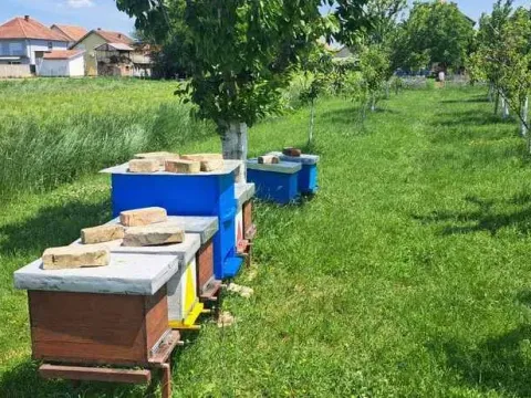 Prodaja, kuća, 233m², Nova Pazova, Stara Pazova - image 15