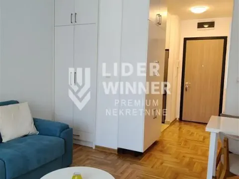 Izdavanje, stan, 30m², Banjica, Voždovac Sve Podlokacije - image 2