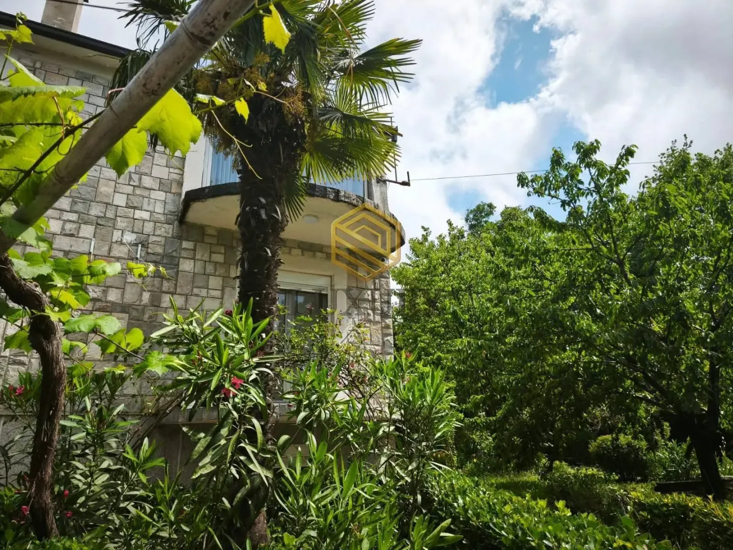 Exterior of the house with a courtyard, palm tree, and greenery.