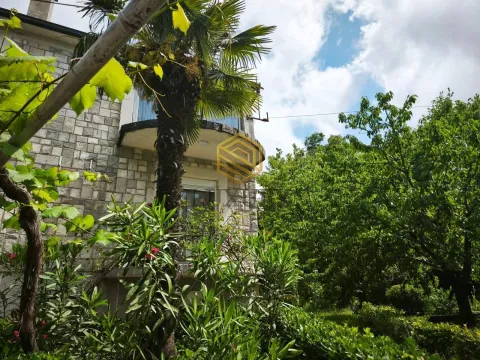 Exterior of the house with a courtyard, palm tree, and greenery. - image 2