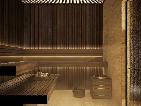 Moderna sauna obložena drvenim panelima sa klupama i peći. - image 11