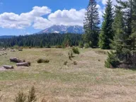 Prodaja, plac, 17500m², Žabljak, Crna Gora - image 3