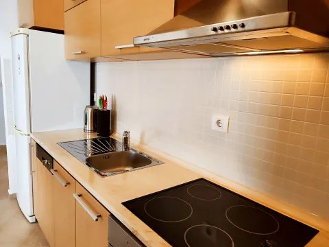 Pogled na drvenu kuhinju sa ugrađenom pločom za kuvanje, sudoperom i frižiderom. - image 8