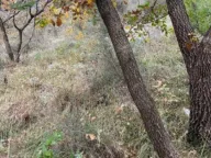 Sale, land lot, 558m², Kamenari, Herceg Novi - image 3