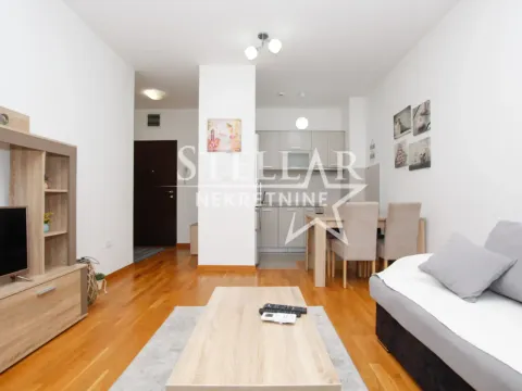 Rent, one bedroom apartment, 43m², Zagorič, Podgorica - image 2