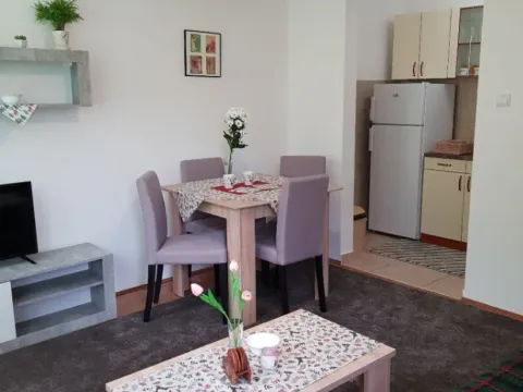 Izdavanje, jednosoban stan, 35m², Centar, Novi Sad - image 8