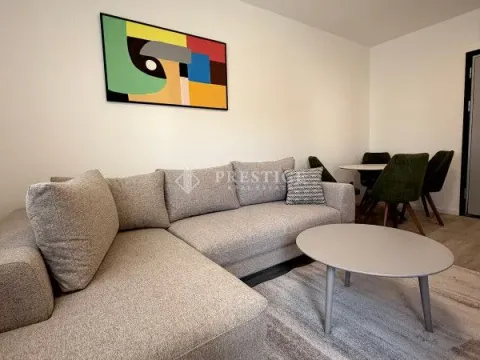 Rent, one bedroom apartment, 47m², Zabjelo, Podgorica - image 4