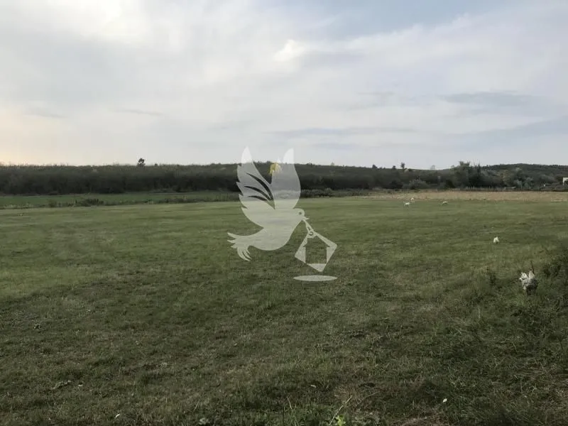 Prodaja, plac, 7000m², Djurinci, Sopot