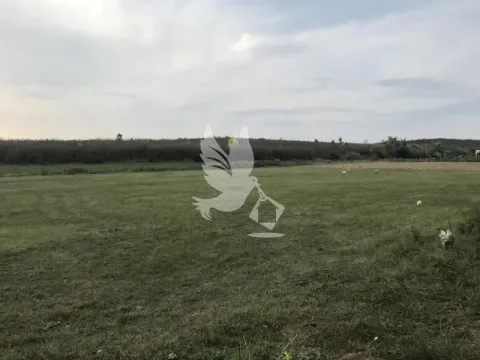 Sale, land lot, 7000m², Djurinci, Sopot - image 3