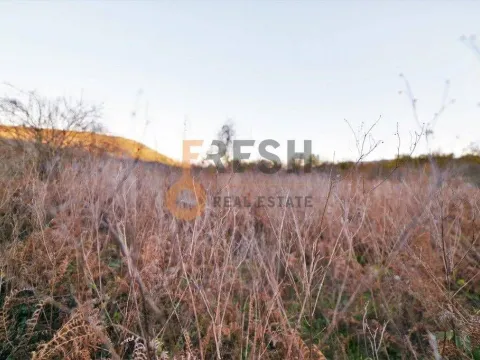 Prodaja, plac, 18000m², Danilovgrad, Crna Gora - image 12