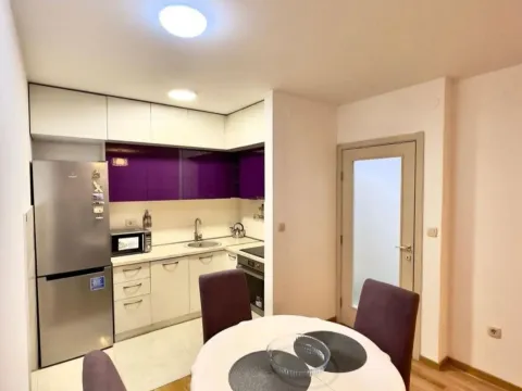 Izdavanje, jednosoban stan, 45m², Zagorič, Podgorica - image 2