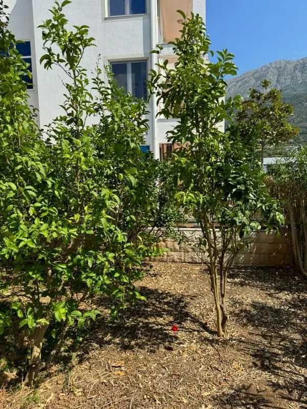 Sale, house, 306m², Dobra Voda, Budva