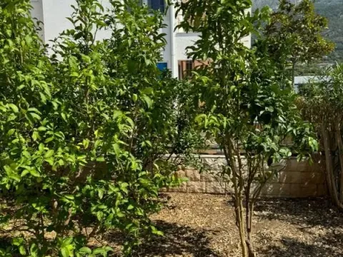 Sale, house, 306m², Dobra Voda, Budva - image 5