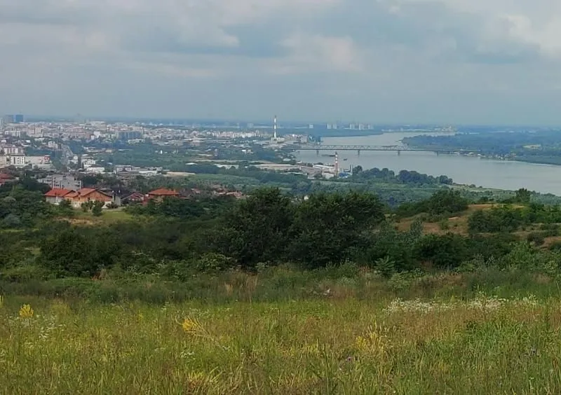 Sale, land lot, 10000m², Višnjica, Palilula Sve Podlokacije