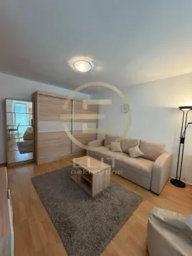 Dnevna soba sa kaučem, garderoberom i tepihom. - image 4